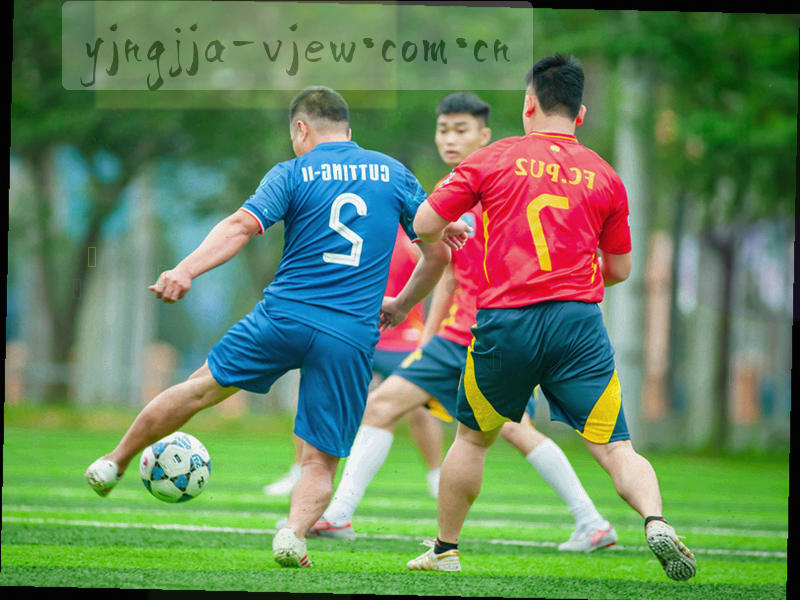 红黄牌记录界面局部放大，按轮次排列的判罚条目与检索条件